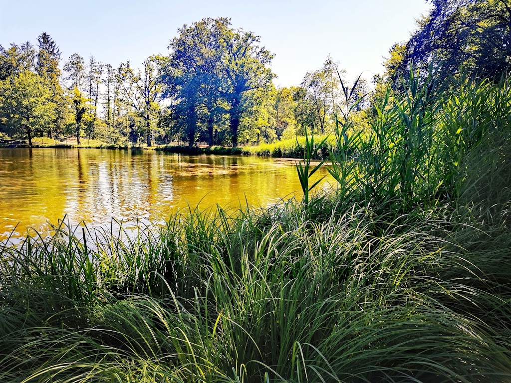 Bild von Freibad "Baindter Bädle"