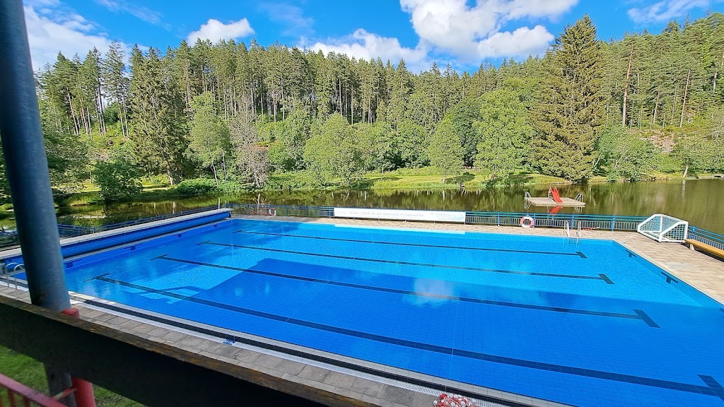 Bild von Freibad mit Naturfreibad im See