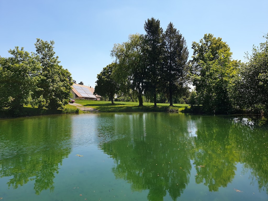 Bild von Zubener Freibad