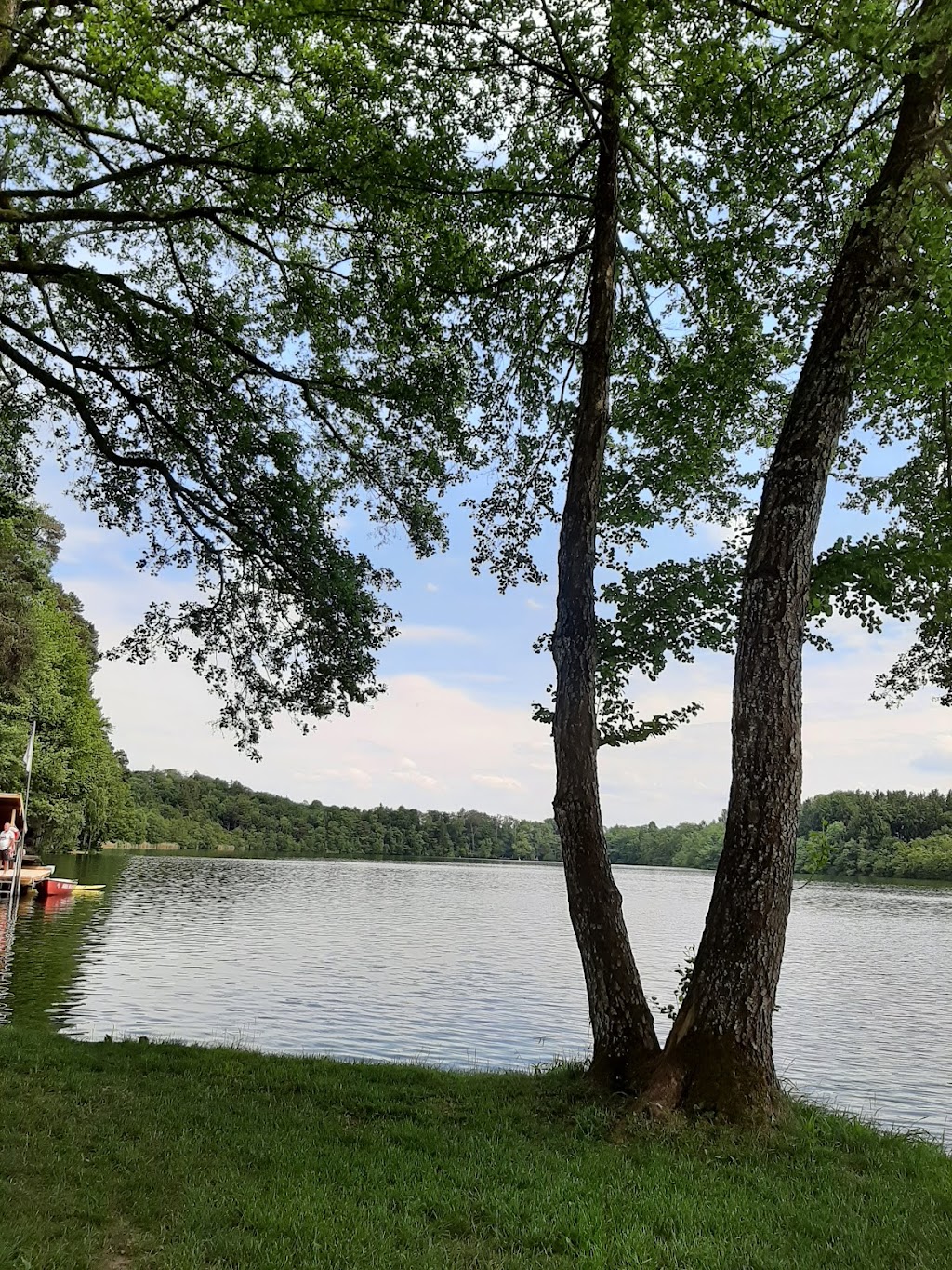 Bild von Freibad Steinsee