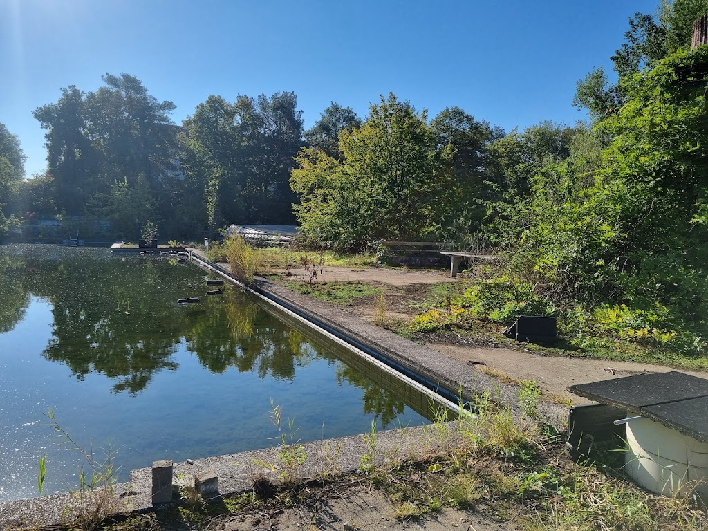 Bild von Freundeskreis Freibad West -Freiburg e. V.