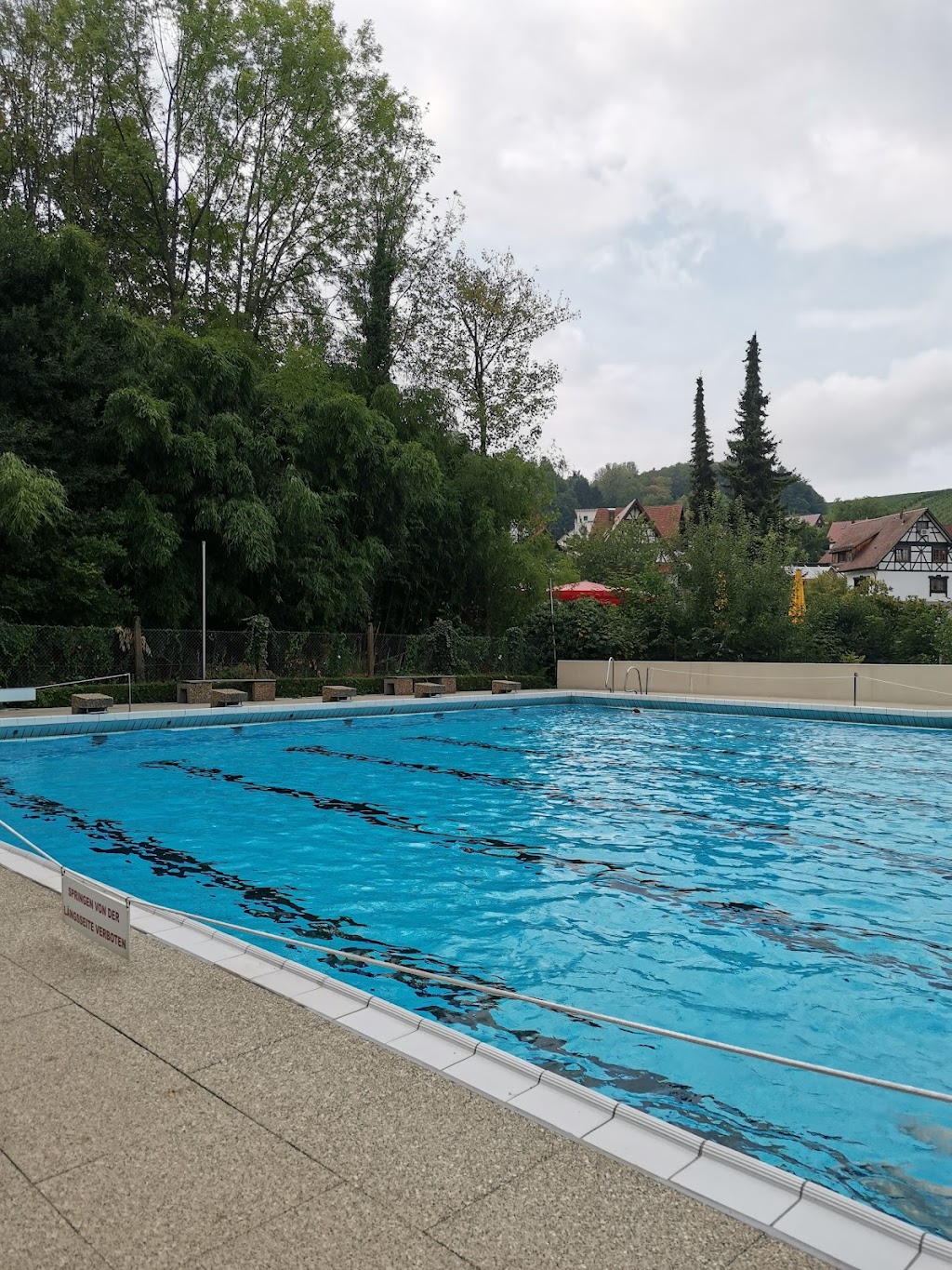 Bild von Erlebnisfreibad Sasbachwalden