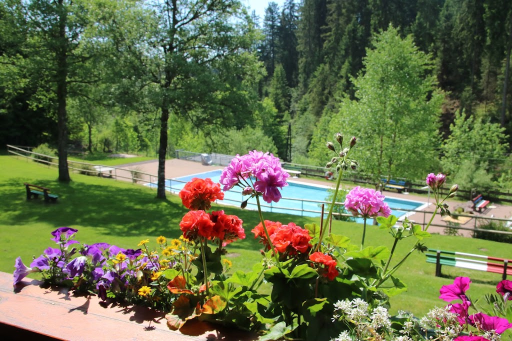 Bild von Waldschwimmbad Kniebis