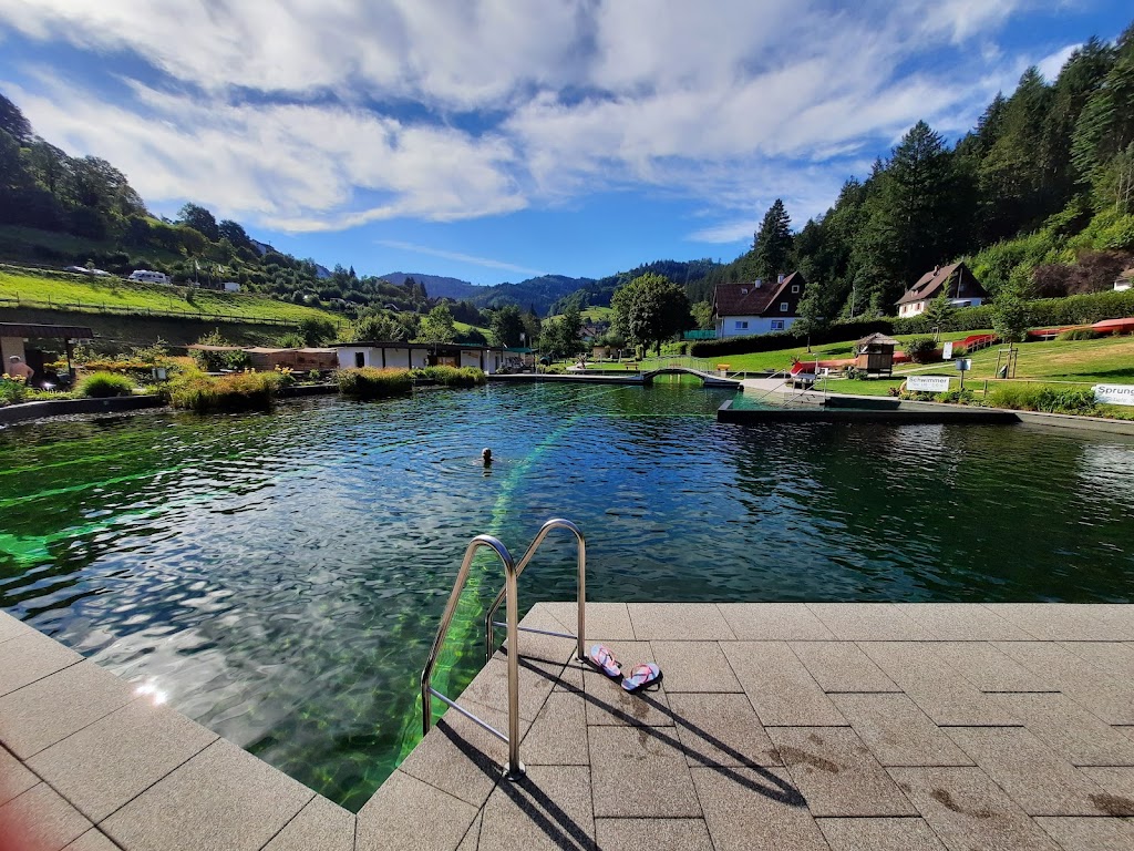 Bild von Naturerlebnisbad Ottenhöfen im Schwarzwald, öffentliches Freibad, Schwimmbad