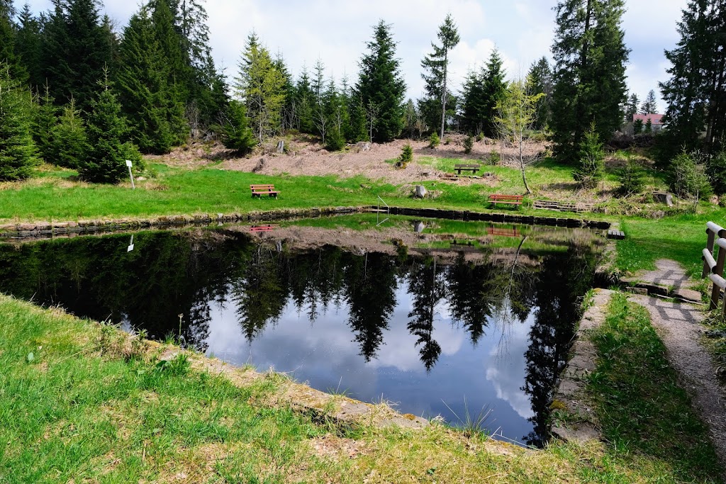 Bild von Moorbad Kniebis