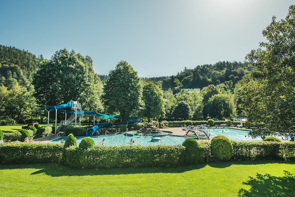 Bild von Freibad Bad Liebenzell