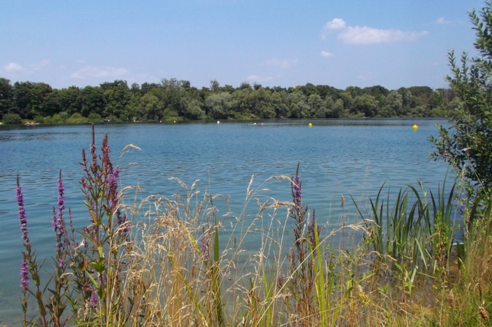 Bild von Freibad Muggensturm