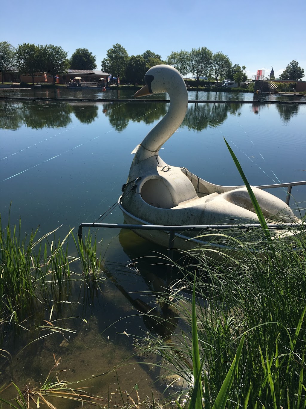 Bild von Naturfreibad an der Weißbachmühle