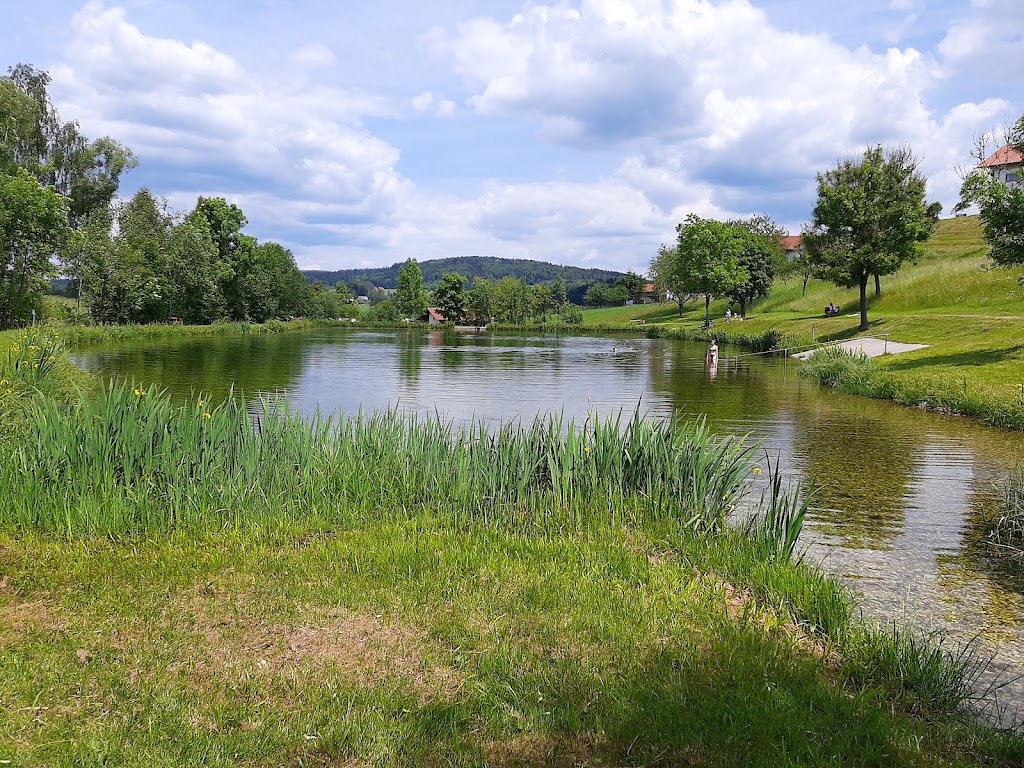 Bild von Badesee Jandelsbrunn