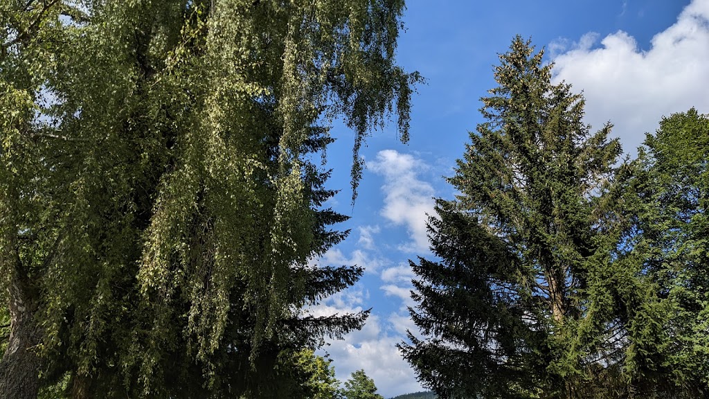 Bild von Hallenbad/Freibad - Bodenmais