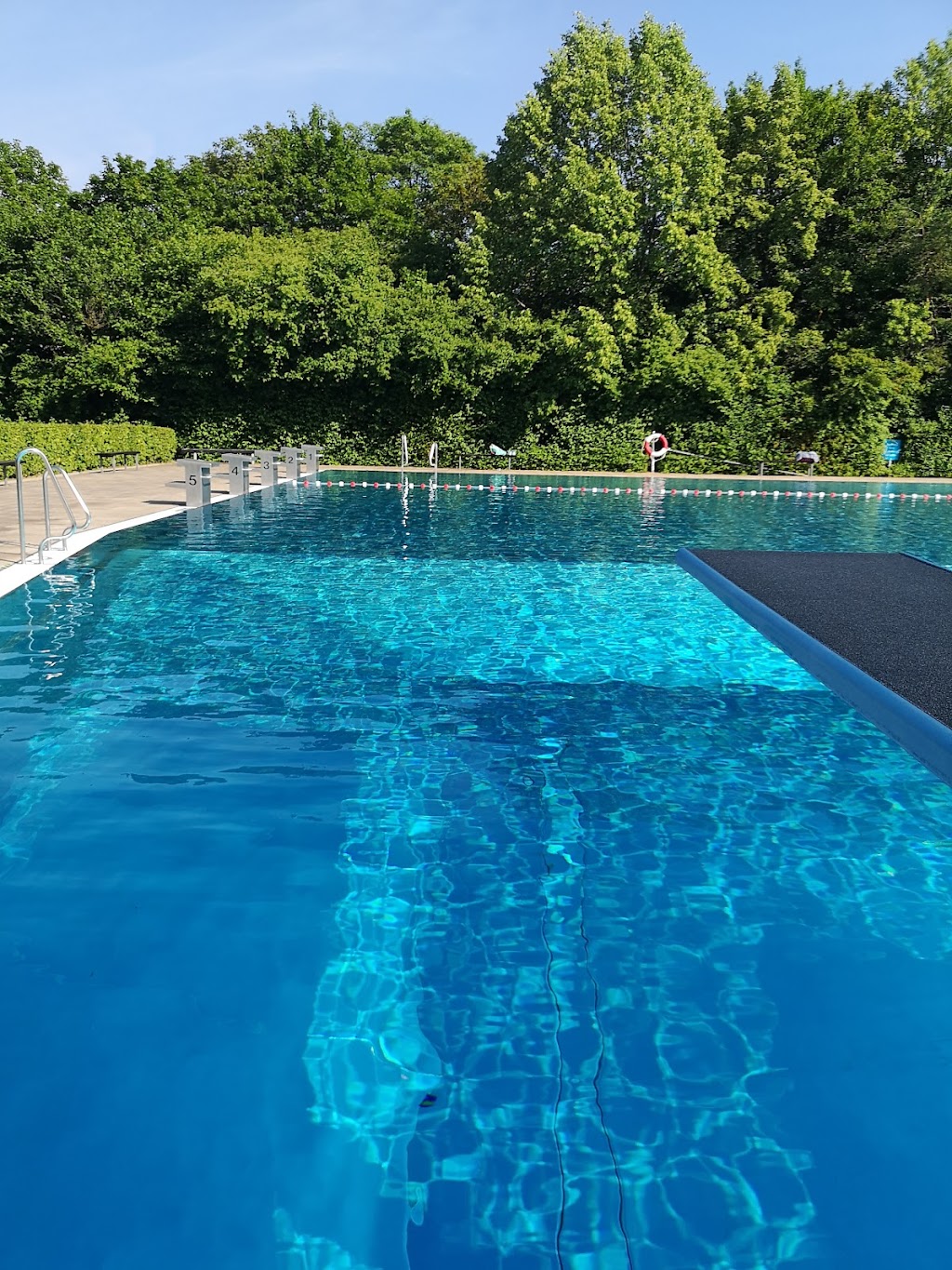 Bild von Freibad und Hallenbad Schwalbach