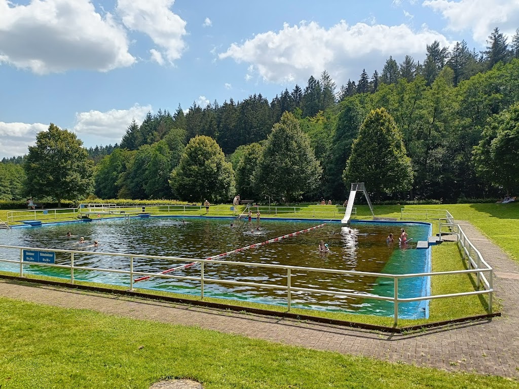 Bild von Weiskirchen Naturwaldfreibad