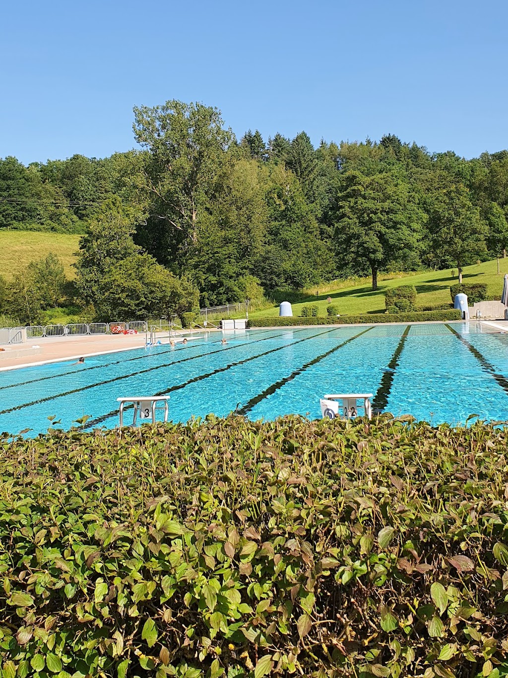 Bild von Freibad Altenglan