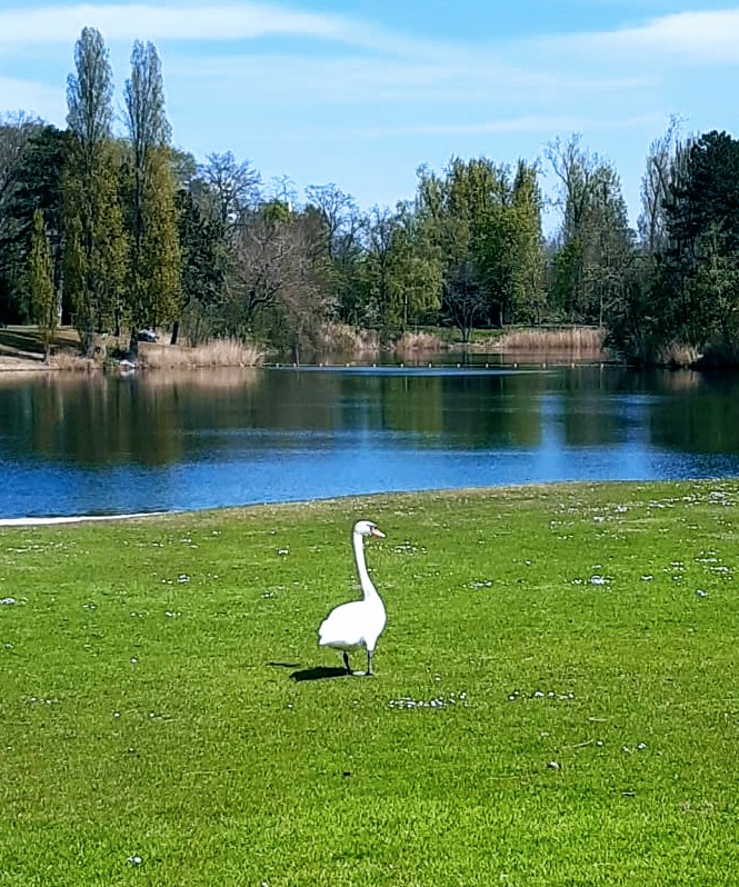 Bild von StrandBad Frankenthal - Sommersaison