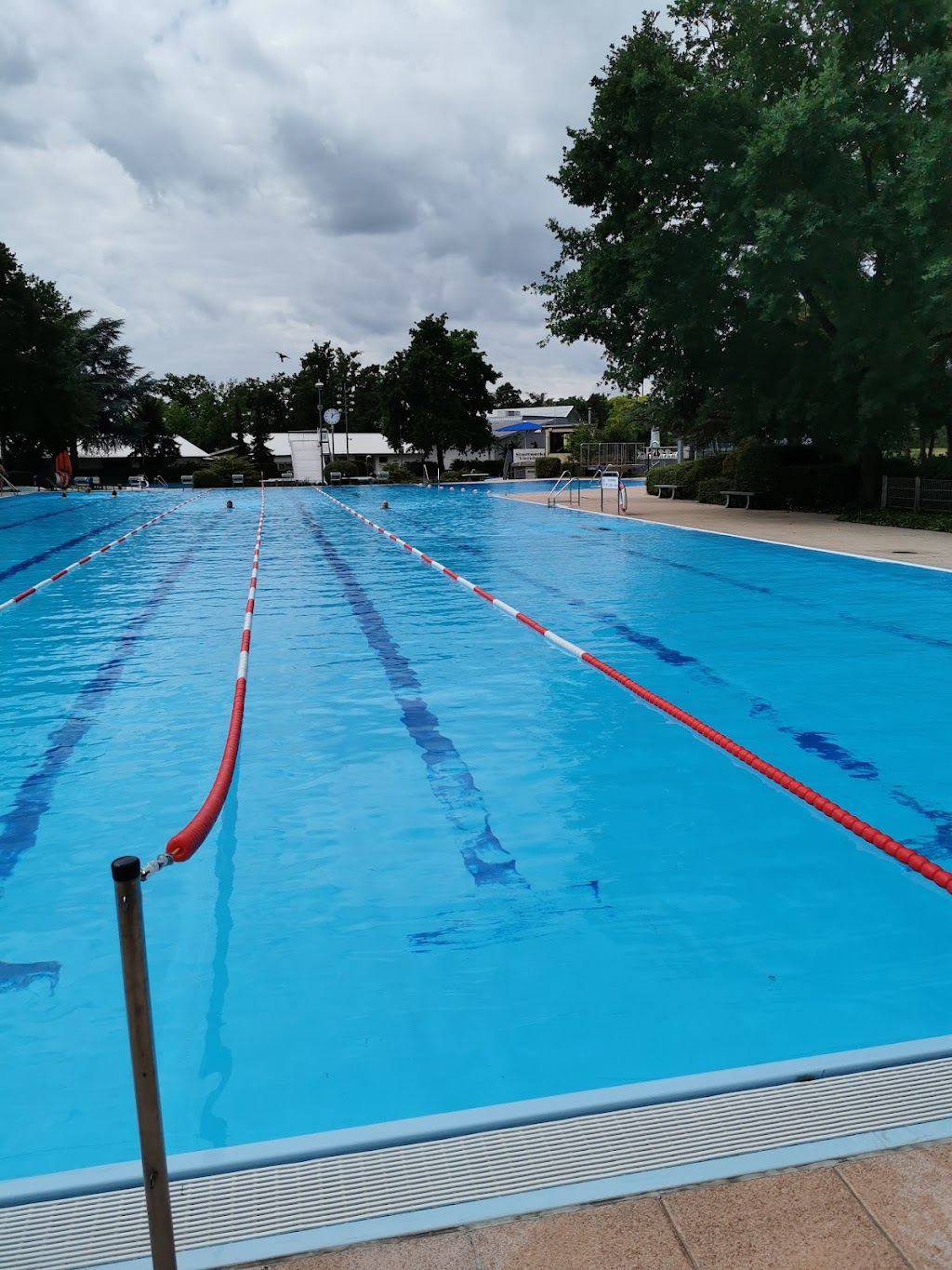 Bild von Waldschwimmbad Viernheim