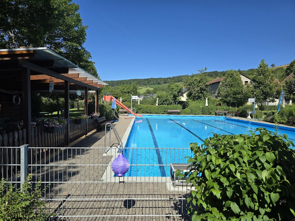 Bild von Freibad Althausen