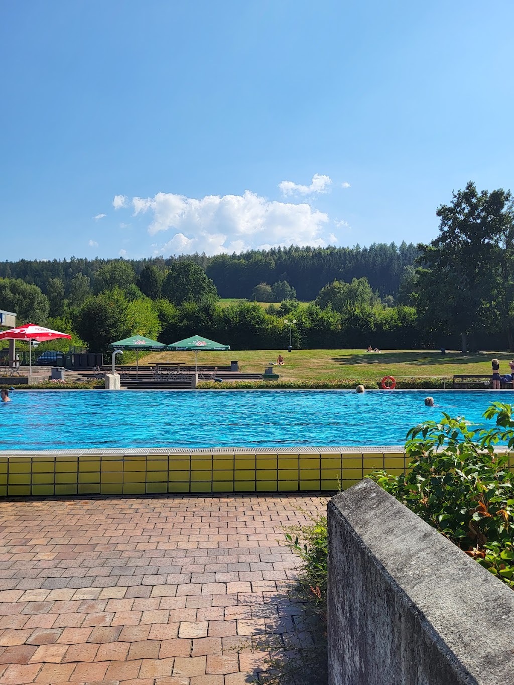 Bild von Freibad Oberviechtach