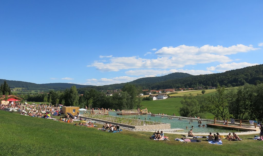 Bild von Neukirchener Naturbad