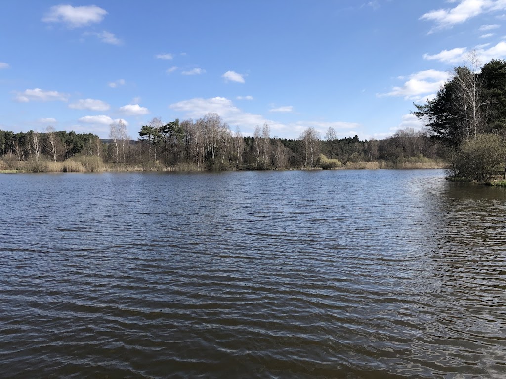 Bild von Immenreuth Freibad