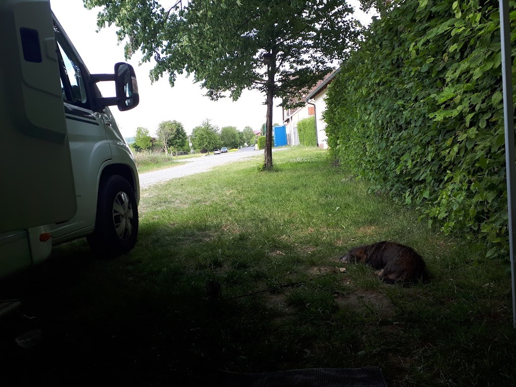 Bild von Wohnmobilstellplatz Zellingen, Am Freibad