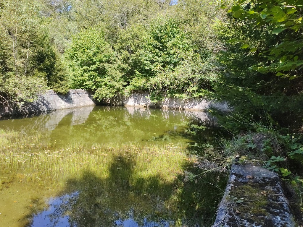 Bild von Altes Freibad Lehesten