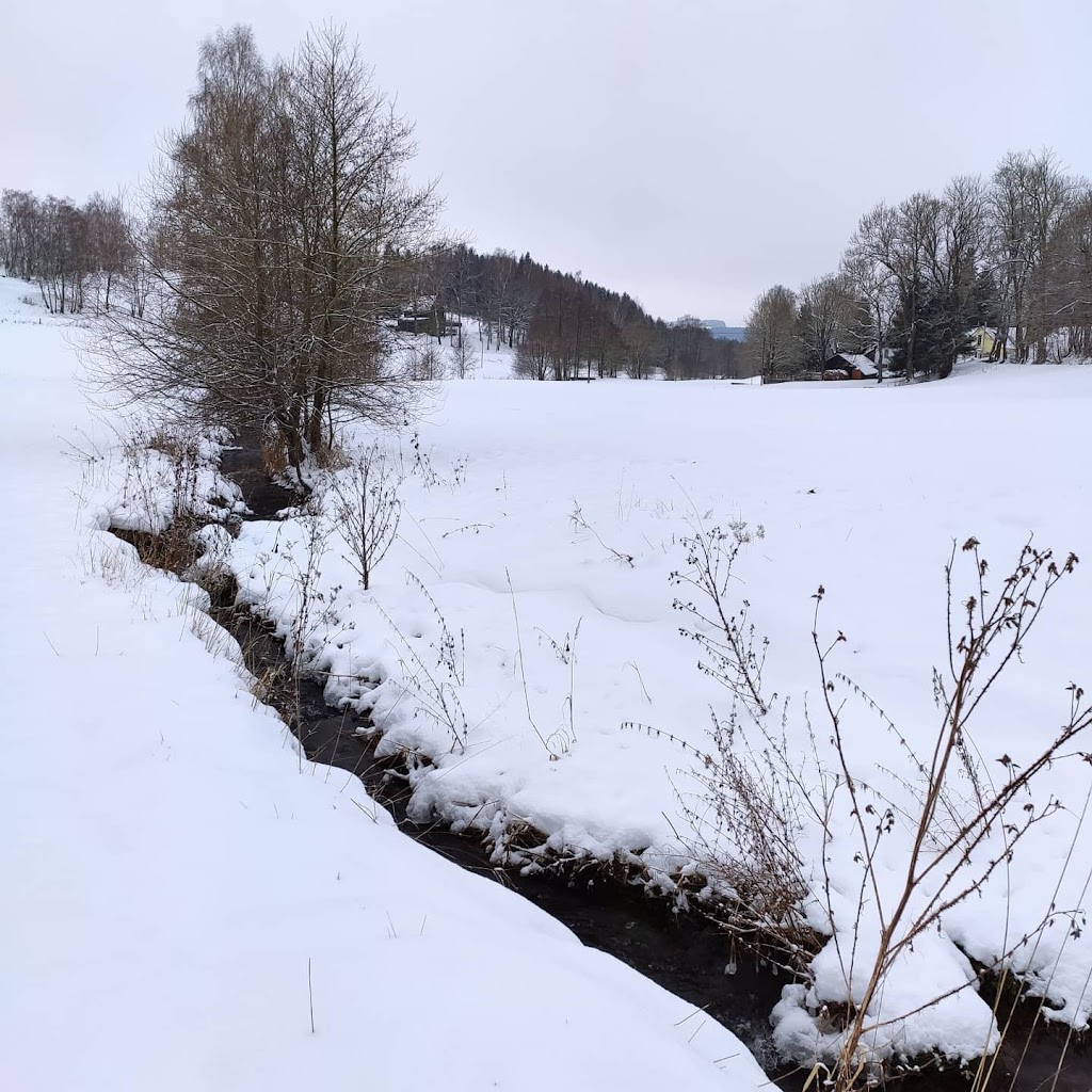 Bild von Freibad Hirschberg/Saale