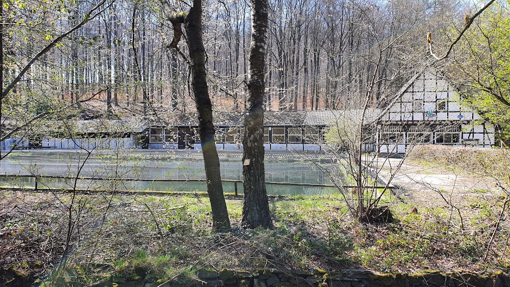 Bild von Ehem. Freibad Jägerhof