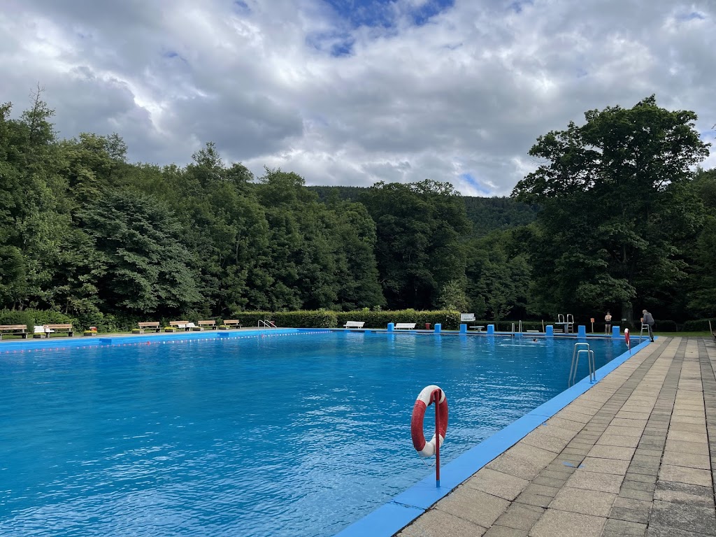 Bild von Schwimmbad Schwarzburg