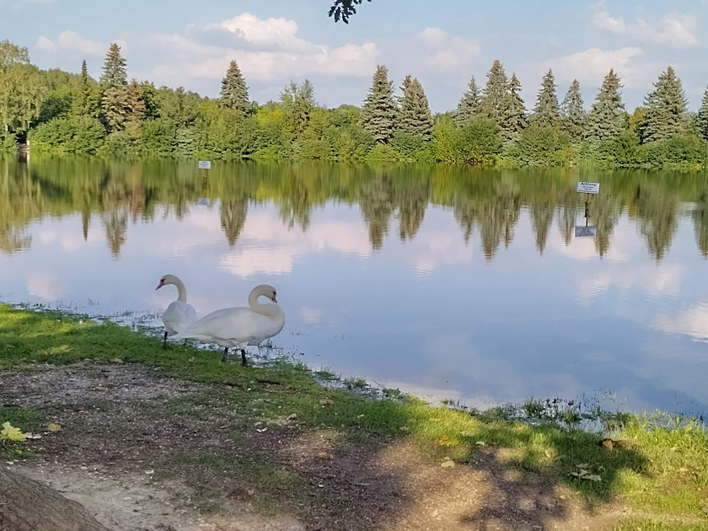 Bild von Waldbad Neuwürschnitz/Naherholungsgebiet "Am Haderwald"