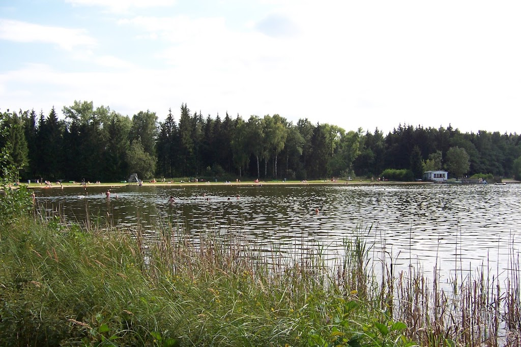 Bild von Badestelle "Großer Teich"