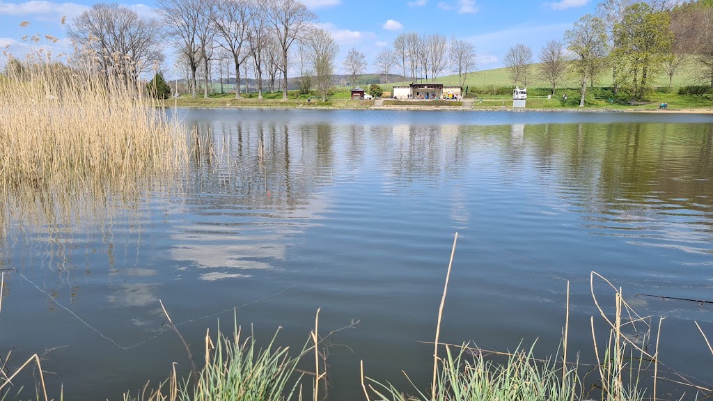 Bild von Freibad Neustadt