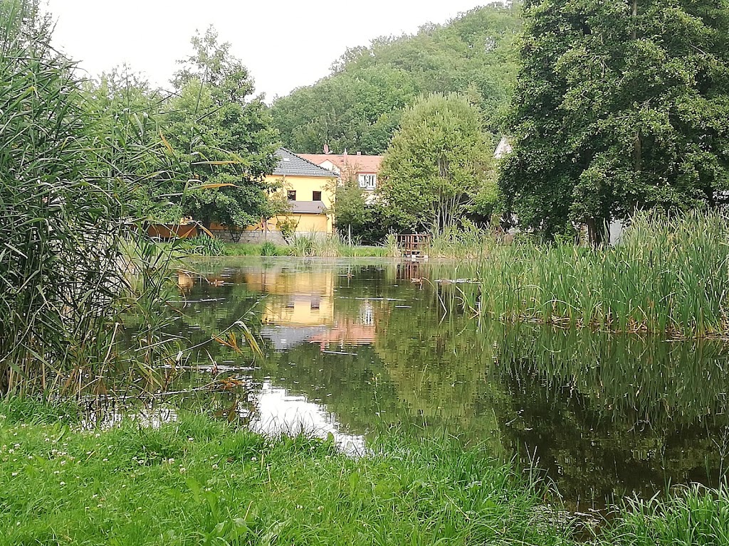 Bild von Ehemaliges Freibad Kleinnaundorf
