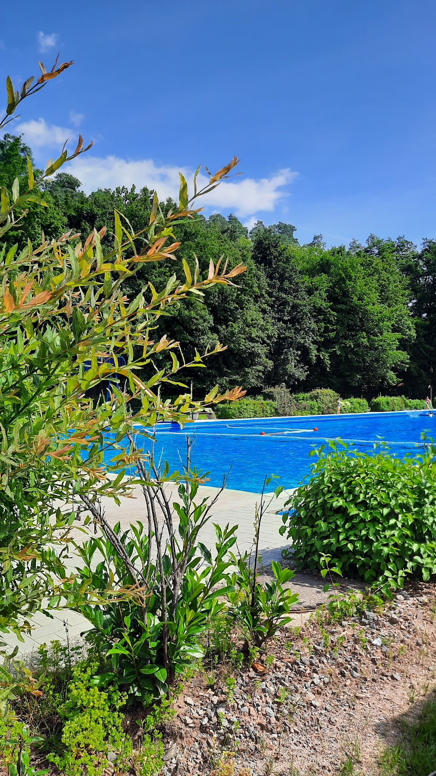 Bild von Freibad Landau e.V.