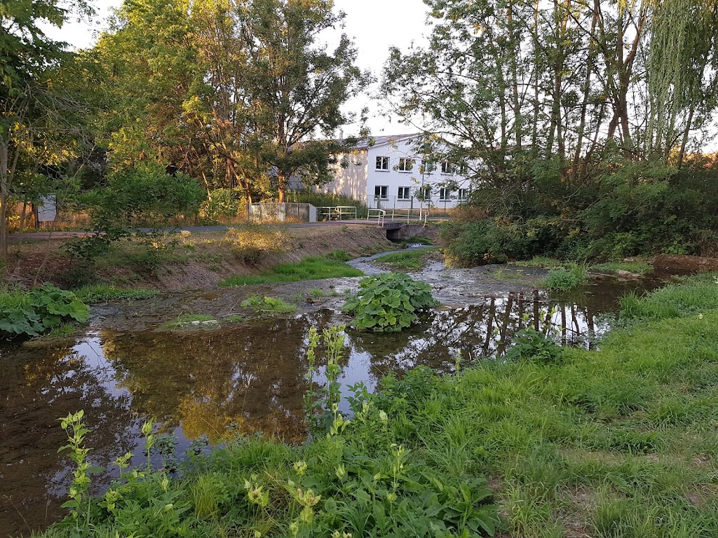 Bild von Freibad Dingelstädt
