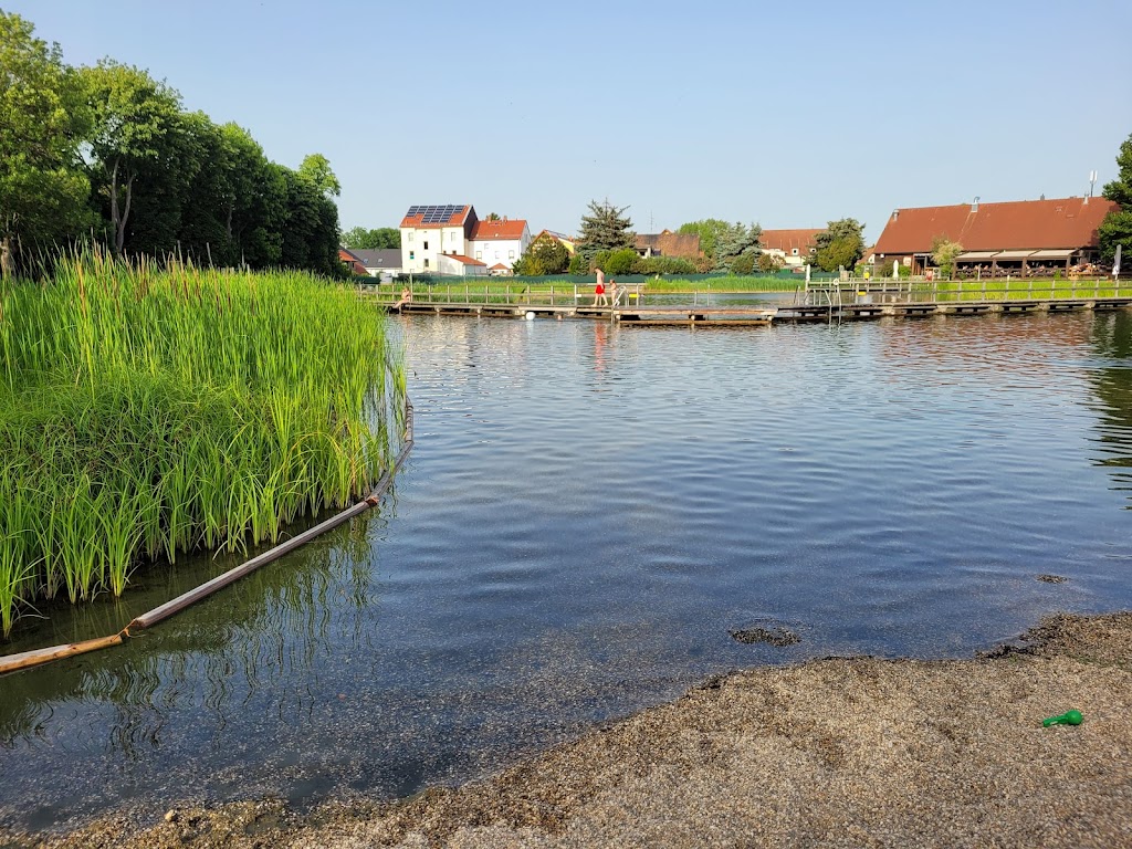 Bild von Ökobad Lindenthal