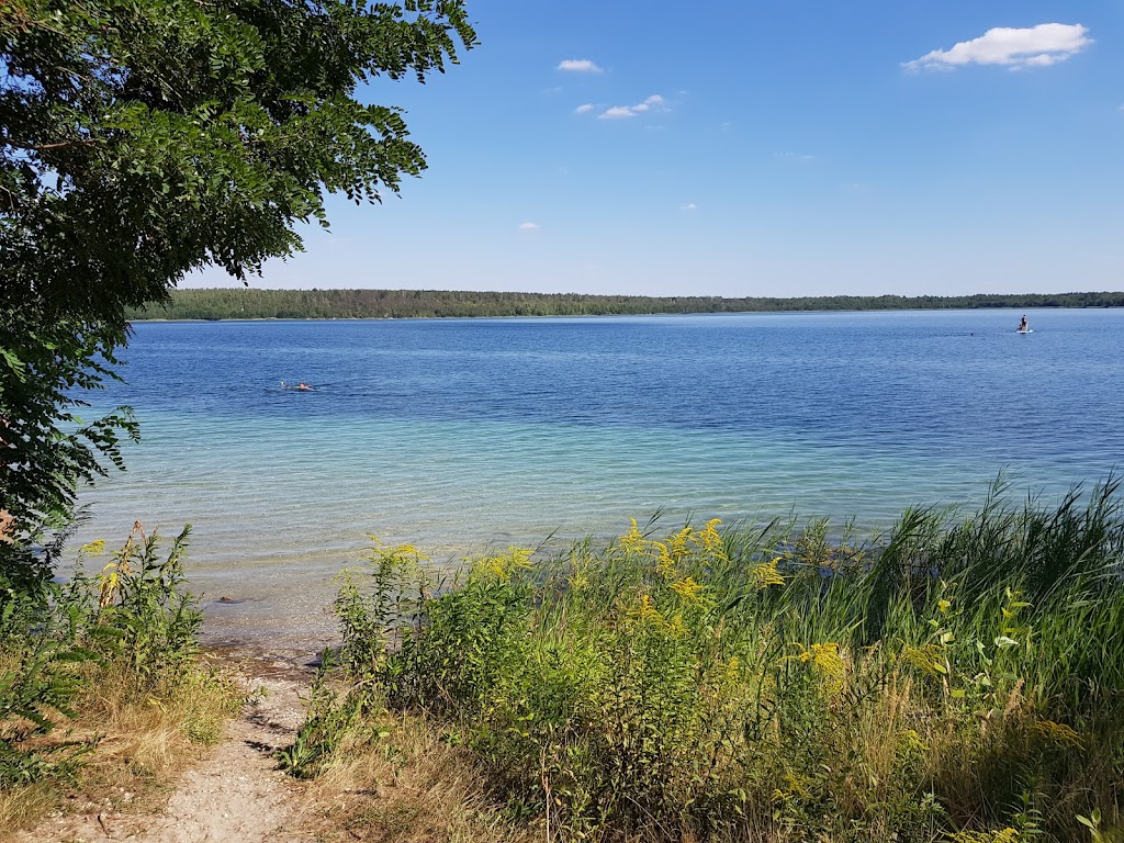 Bild von Strand Haselbacher See