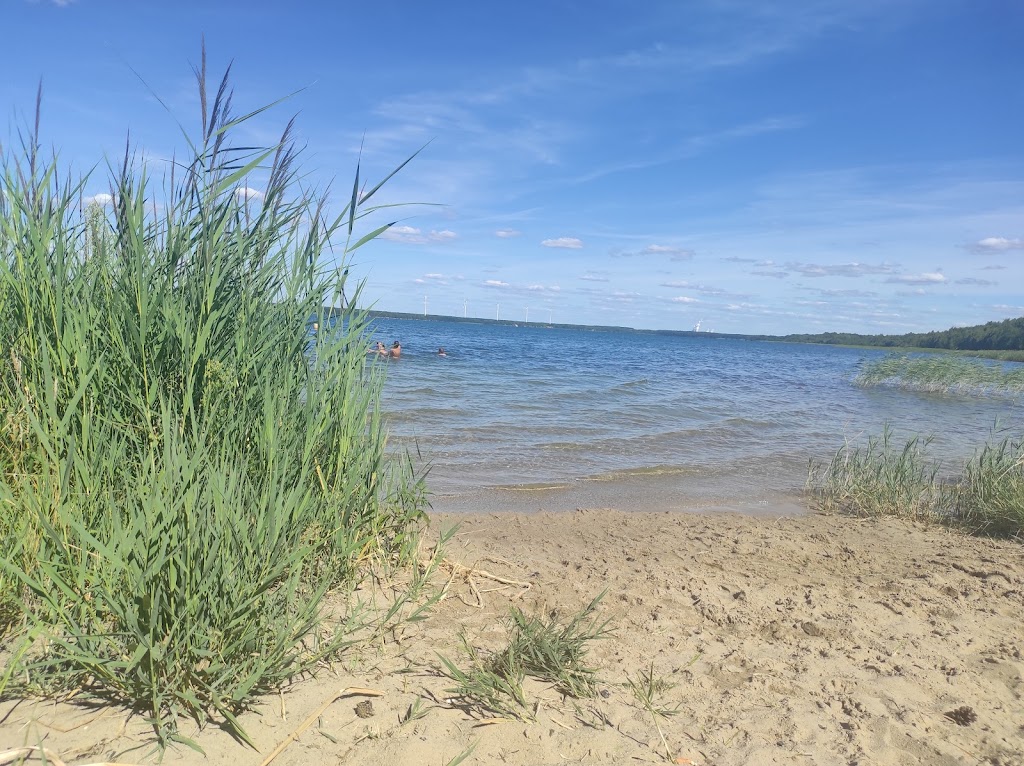 Bild von Badestrand Scheibe-See