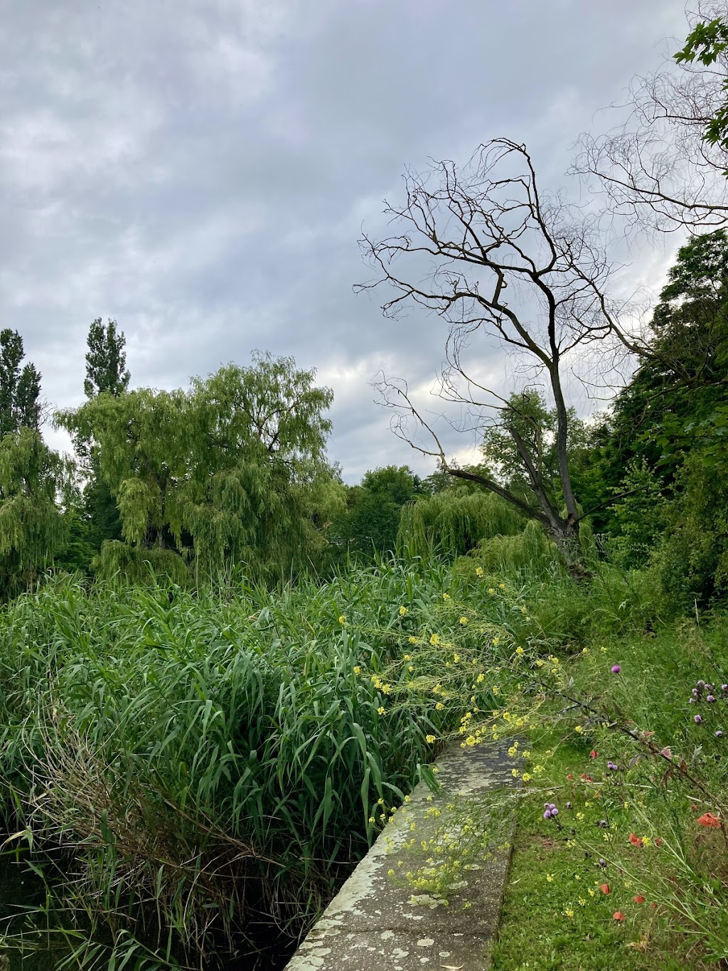 Bild von Ehemaliges Freibad Zellergasse
