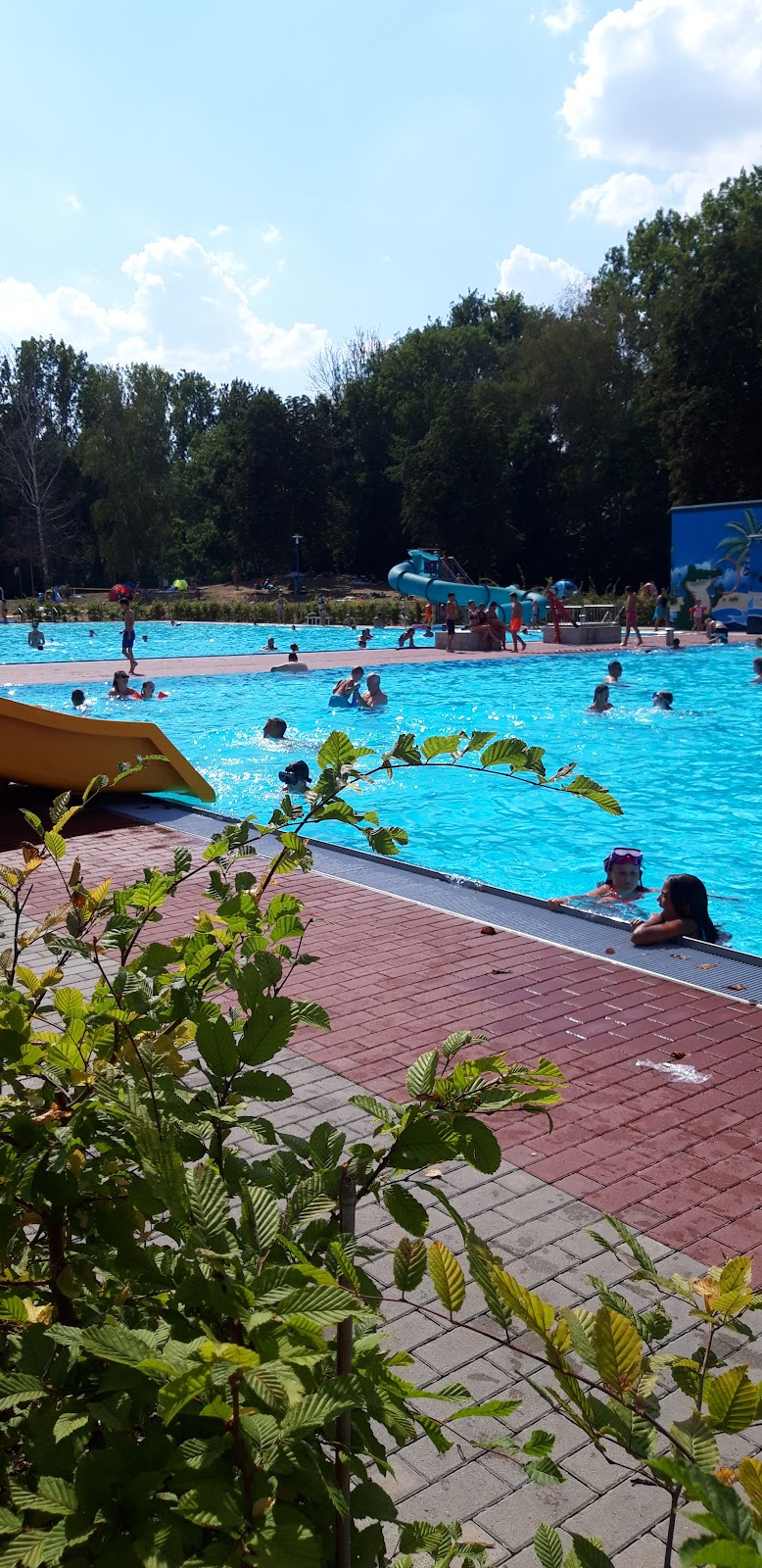 Bild von Skatepark Pegau