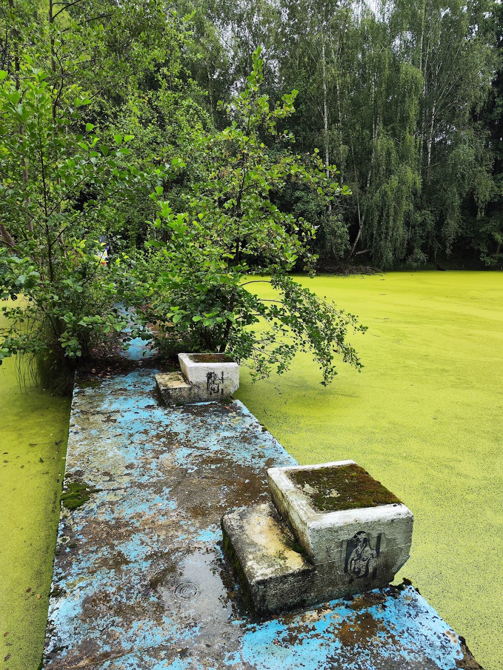 Bild von Altes Freibad