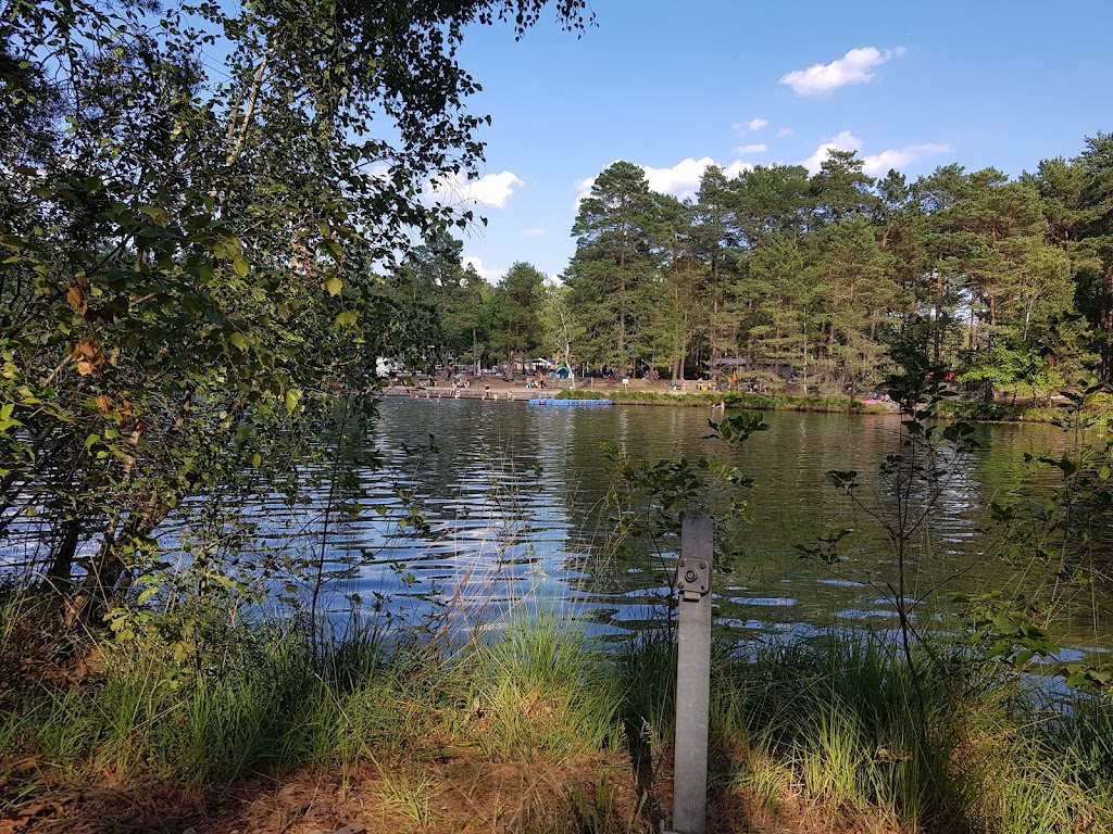 Bild von Ferienpark Waldbad Bernsdorf