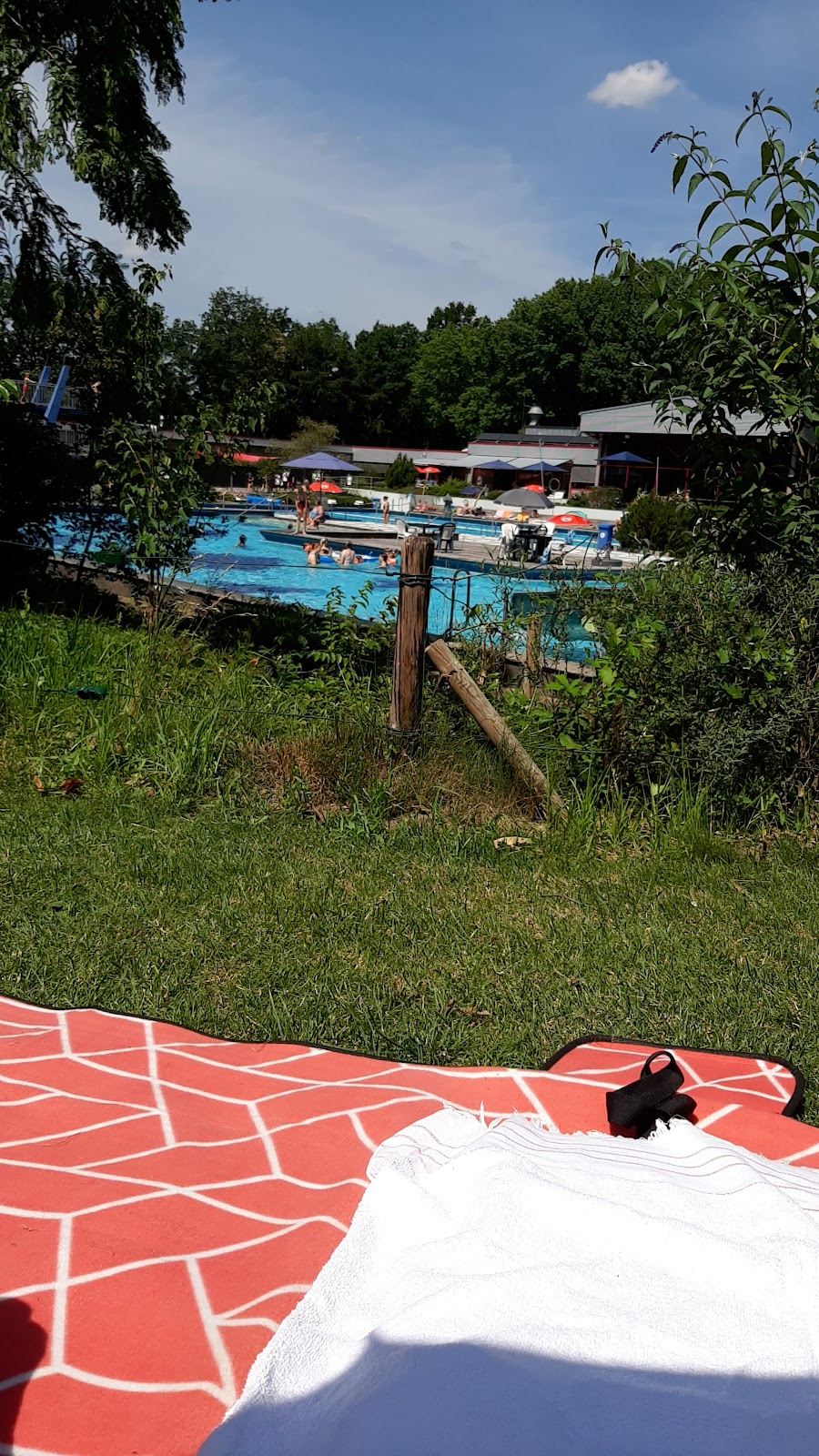 Bild von Schwimmbad Reken