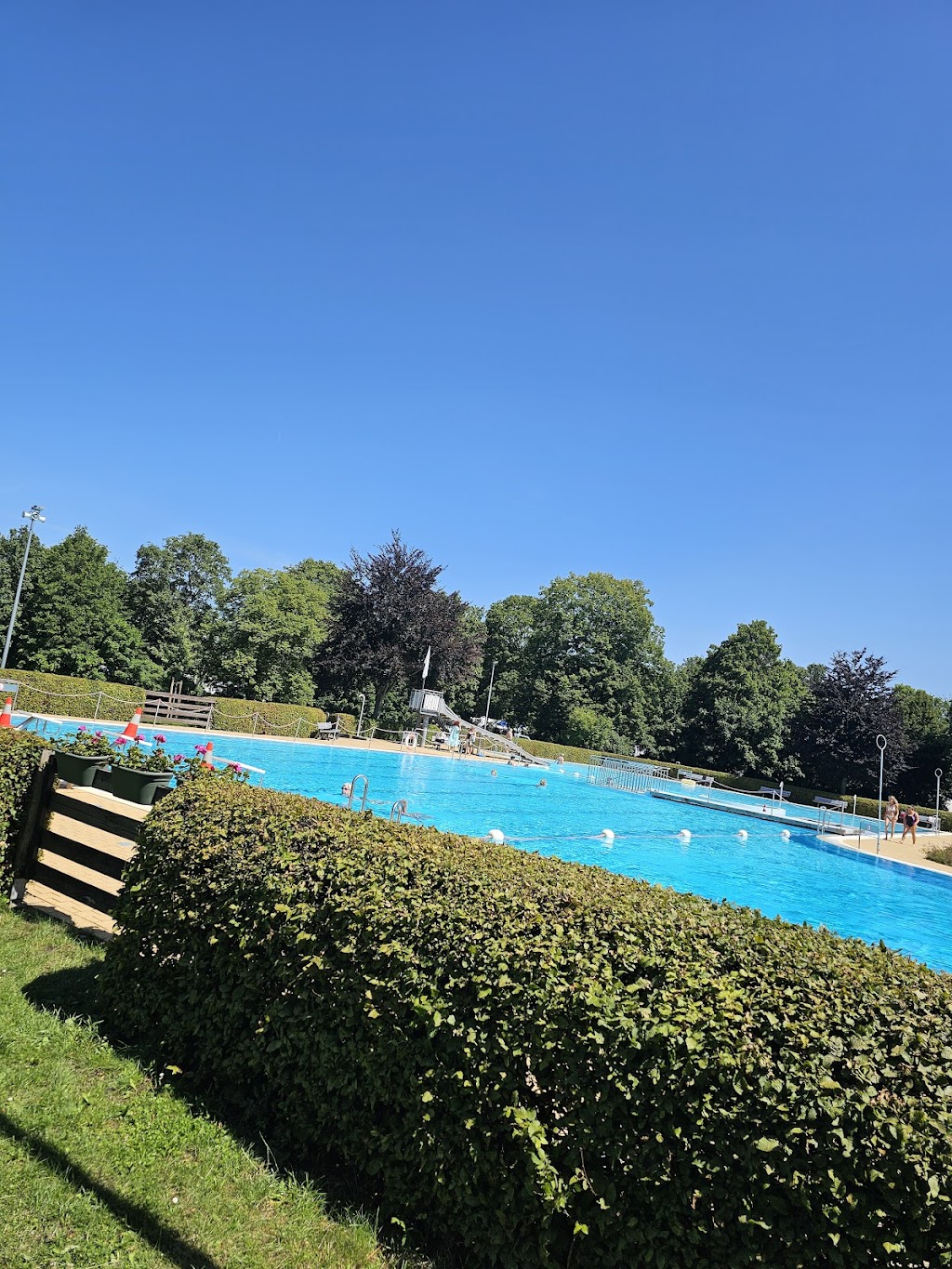 Bild von Freibad am Elm