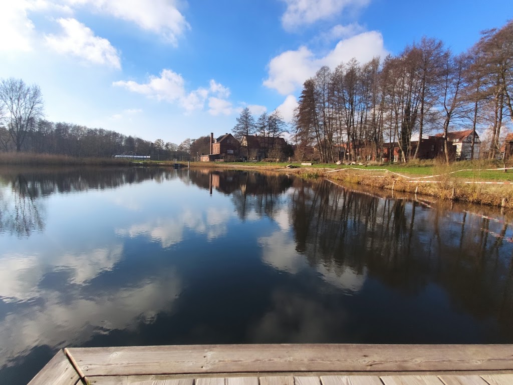 Bild von Friedensau Naturschwimmteich