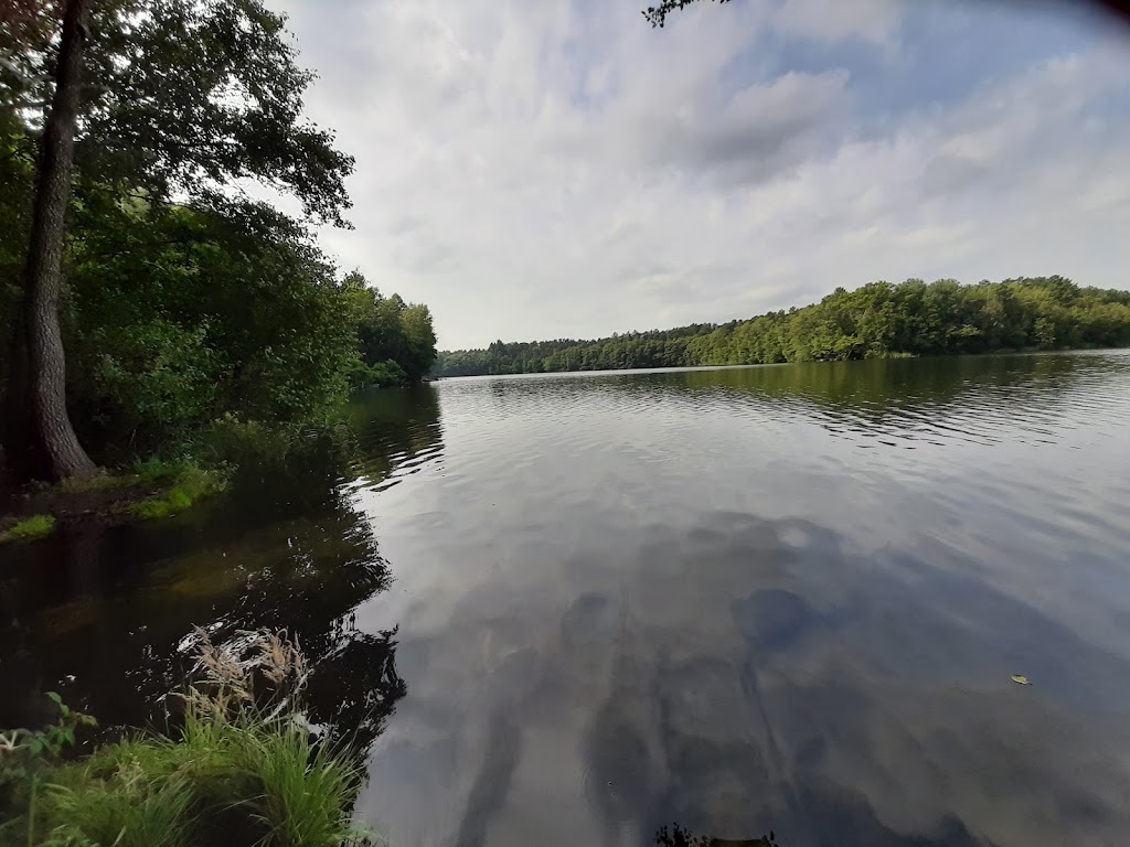 Bild von Strandbad Zesch
