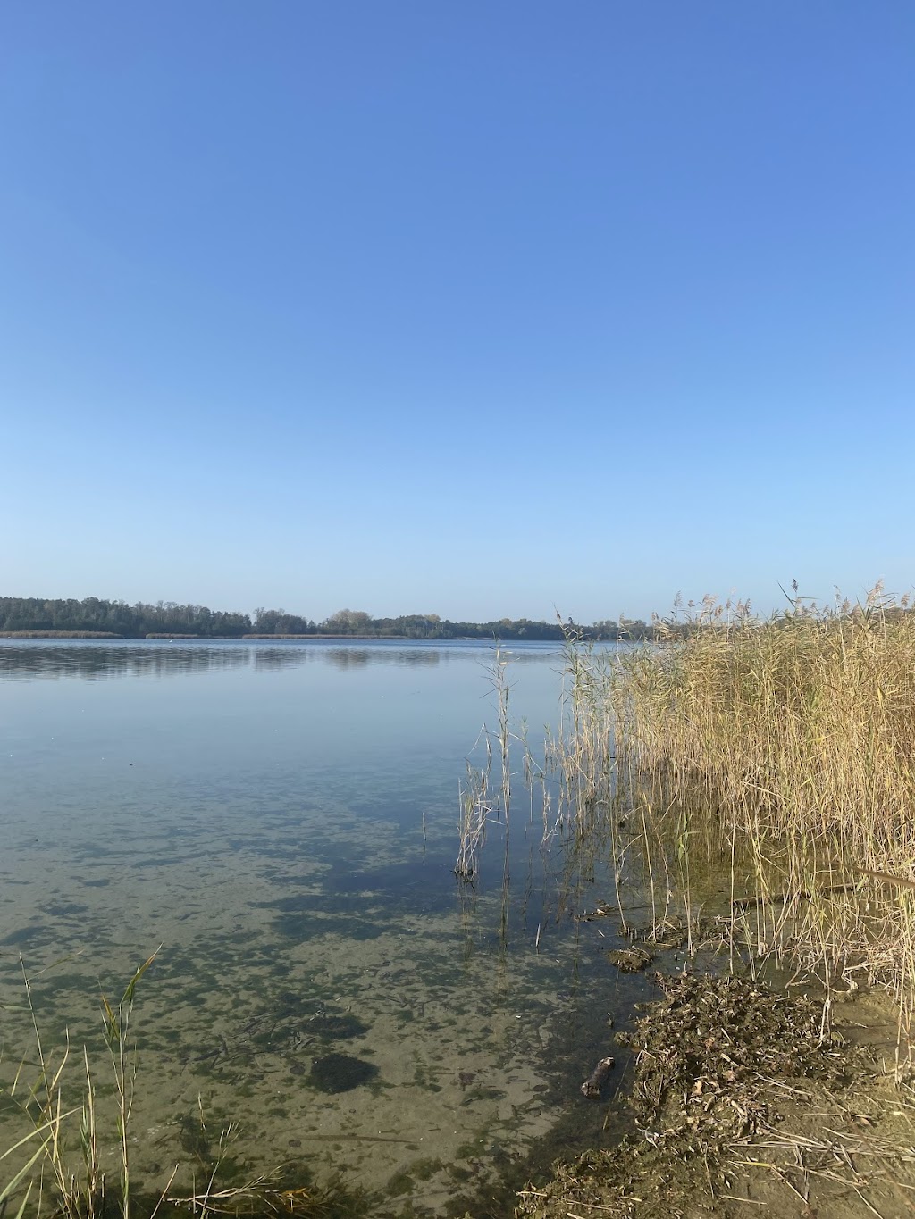 Bild von Badestelle Plessower See