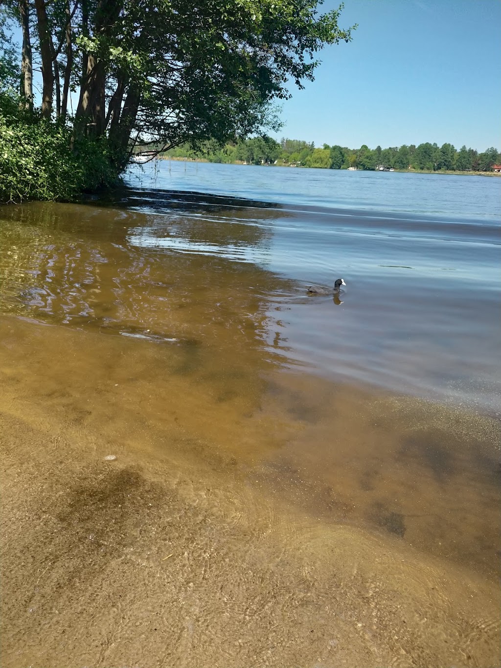 Bild von Naturbadestelle (Strandweg)