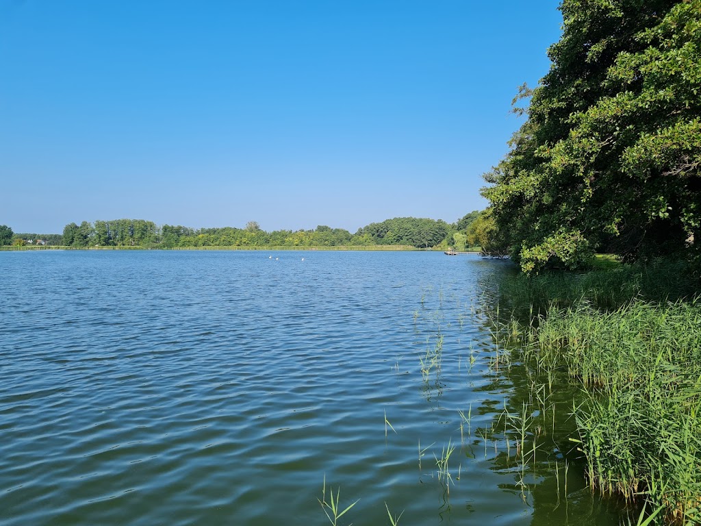 Bild von Strandbad Wünsdorf
