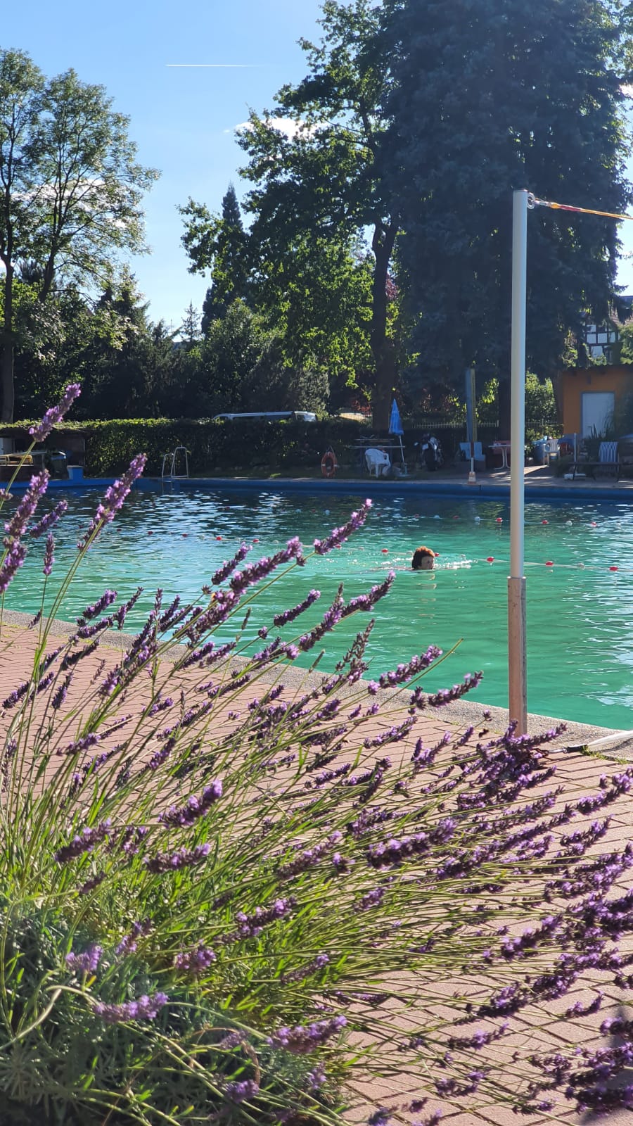 Bild von Freibad Kalbe (Milde)