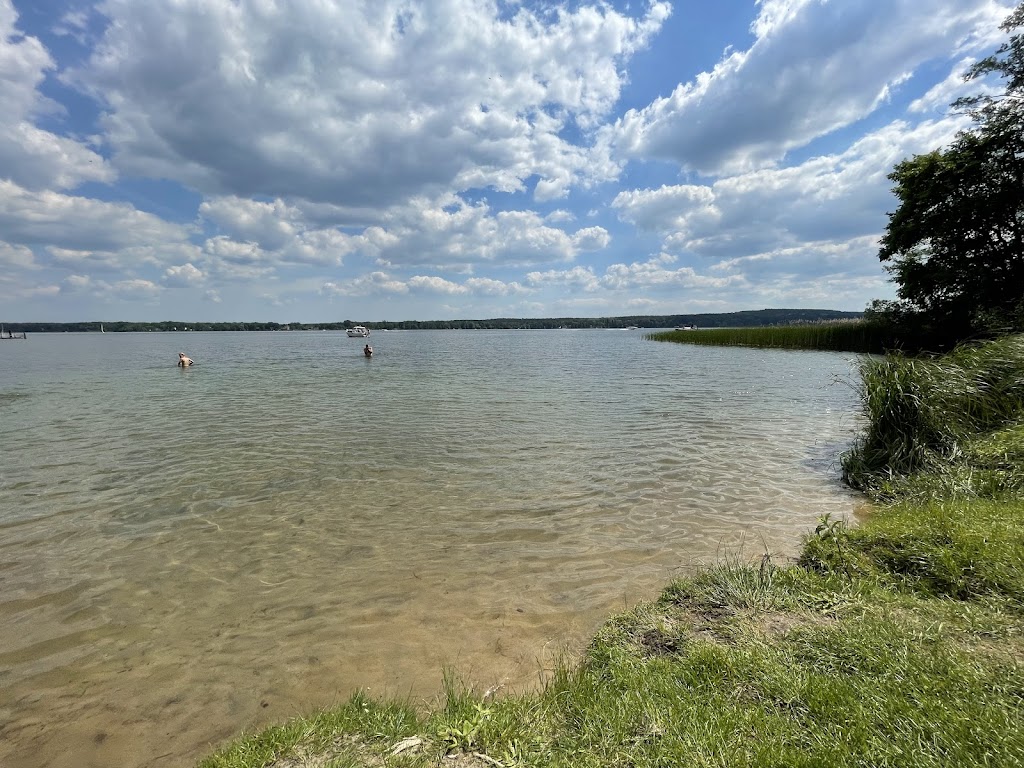 Bild von Bad Saarow Strand